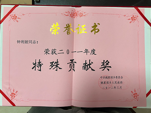 2011年度特殊贡献奖